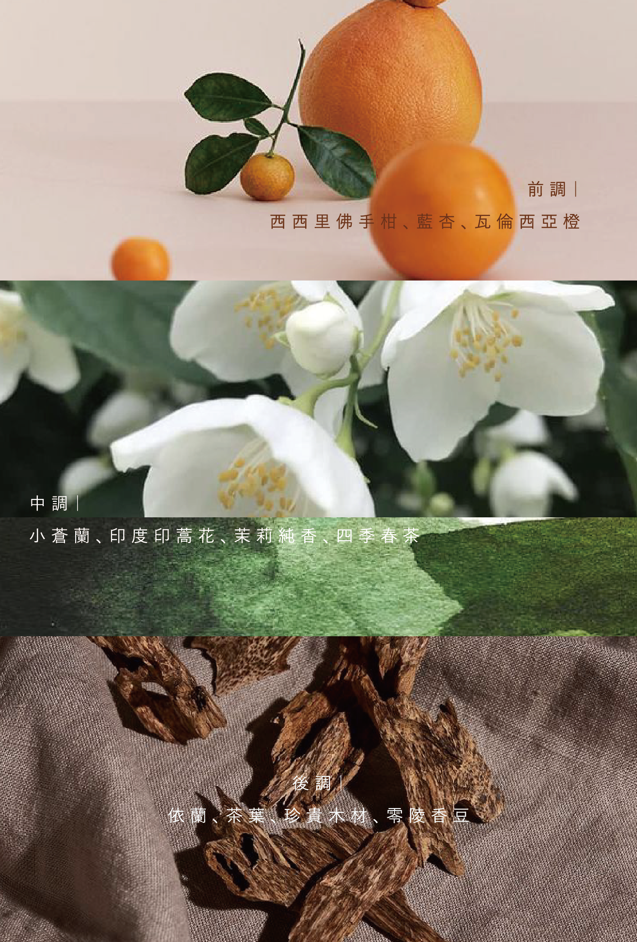 6:45馥郁暖陽空間噴霧+品牌擴香石組